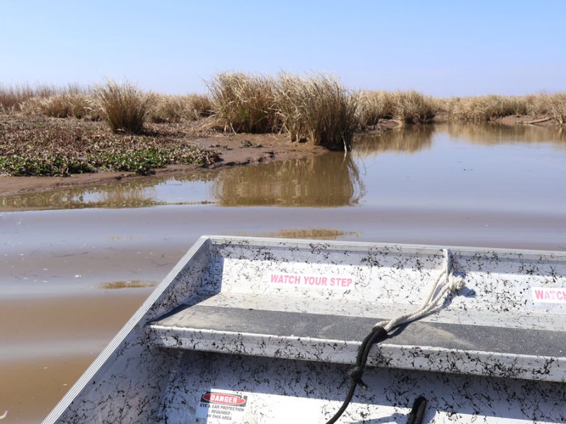 Louisiana’s Wetlands Store Massive Amounts of Carbon. But When Destroyed, They Release It.