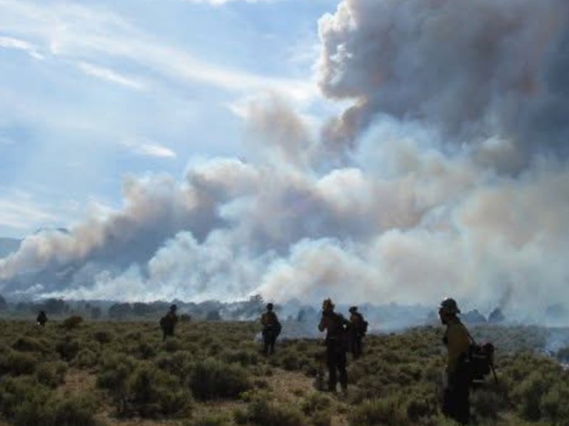 The Goldilocks Conditions for Wildfires