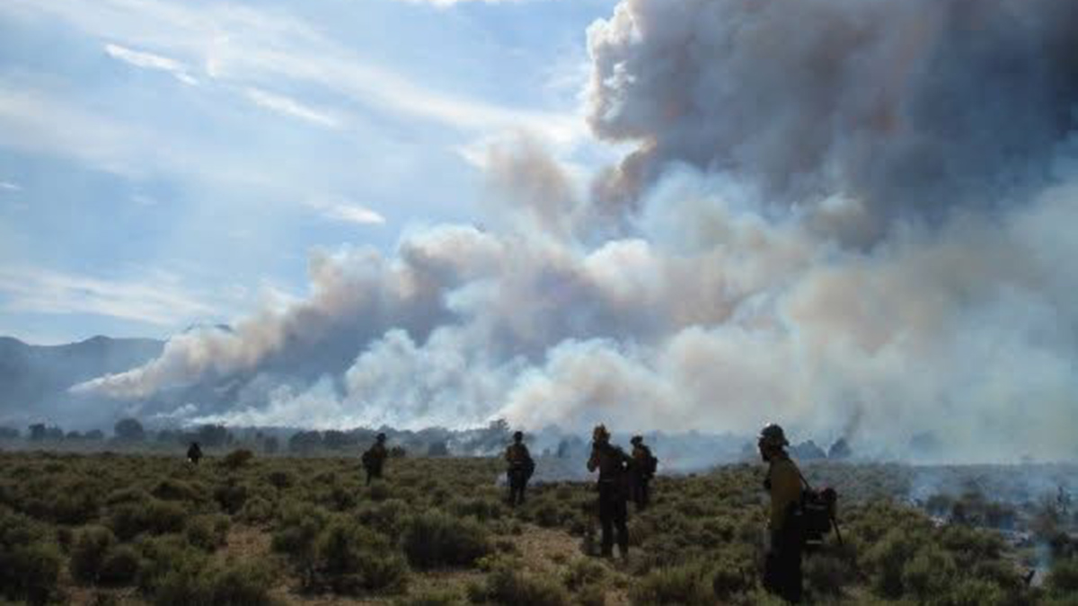 A row of men walk across a desert landscape toward billowing pillars of smoke.