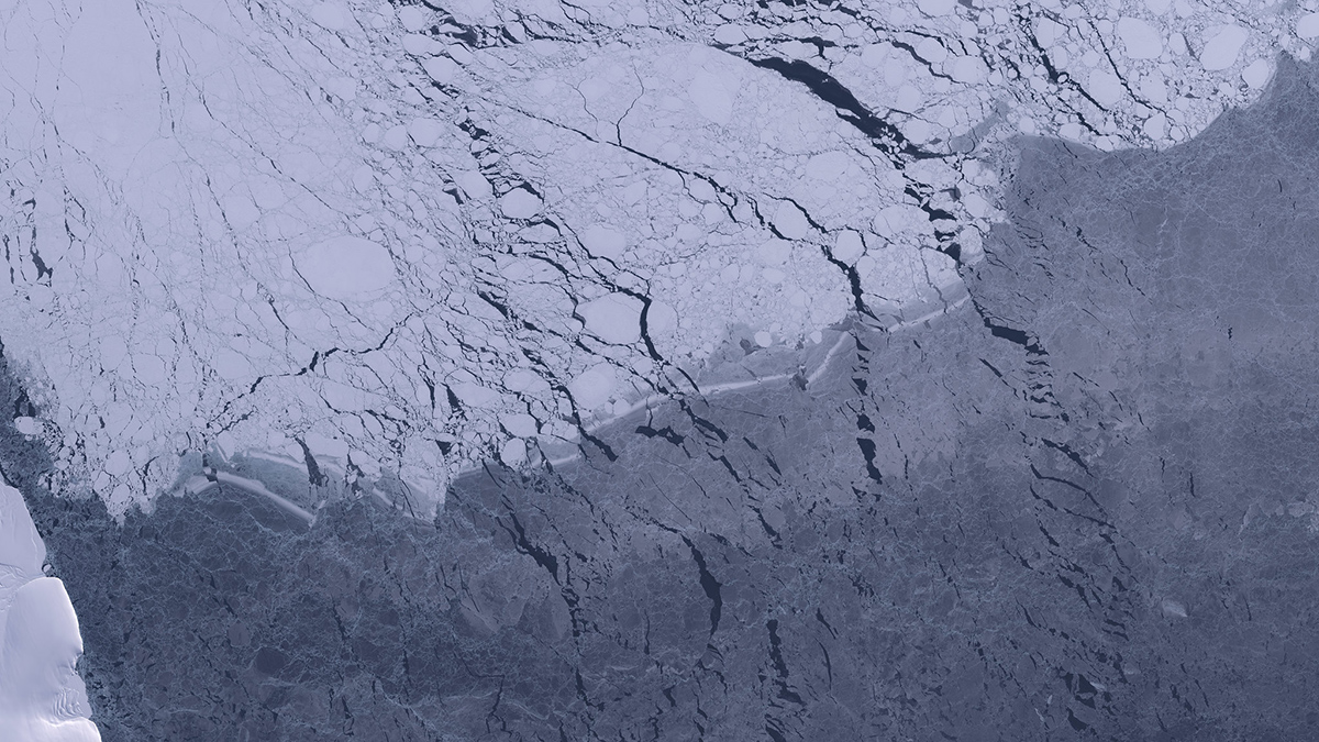 In this bird’s-eye view from a satellite, white ice meets gray ocean water.The ice is fractured into many smaller pieces.